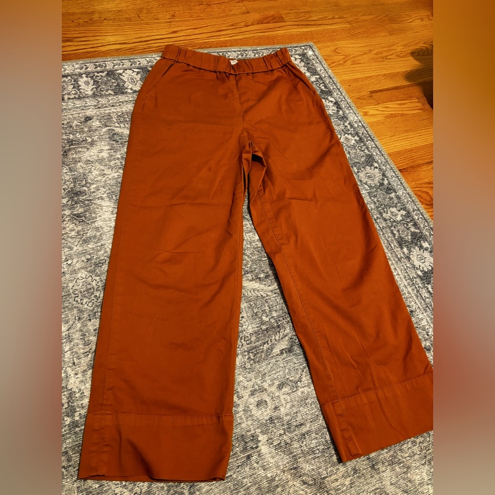 Everlane Easy Pull On Wide Leg Pant Size 6